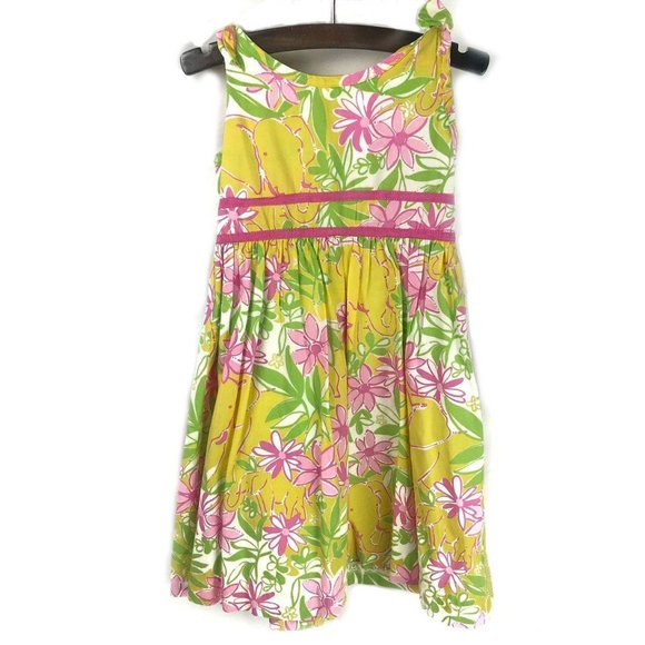 Lilly Pulitzer Other - Lilly Pulitzer Dress